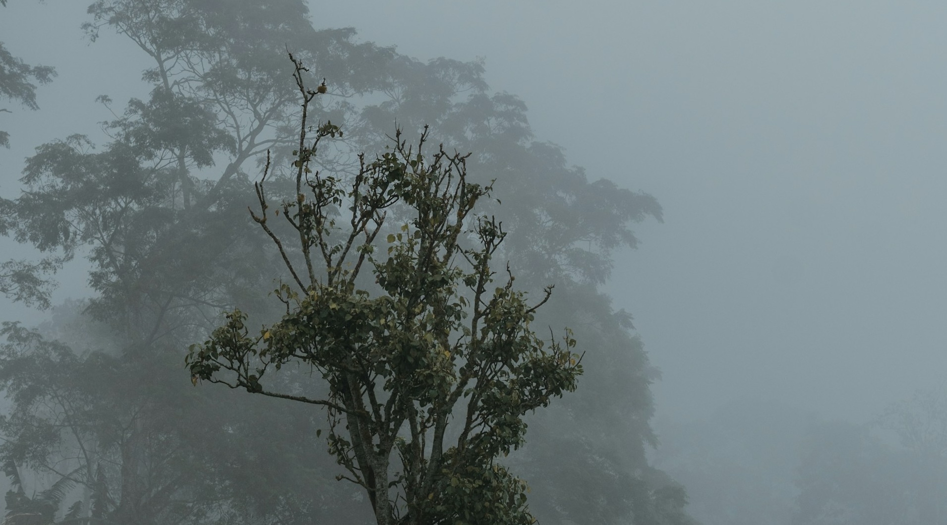 The Art of Receiving Data from Backend, for Frontend Developers Who Want to Sleep Peacefully