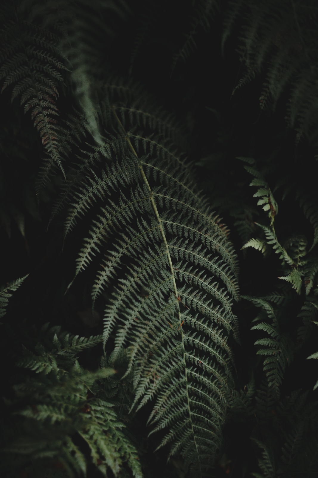 Slowing Down
